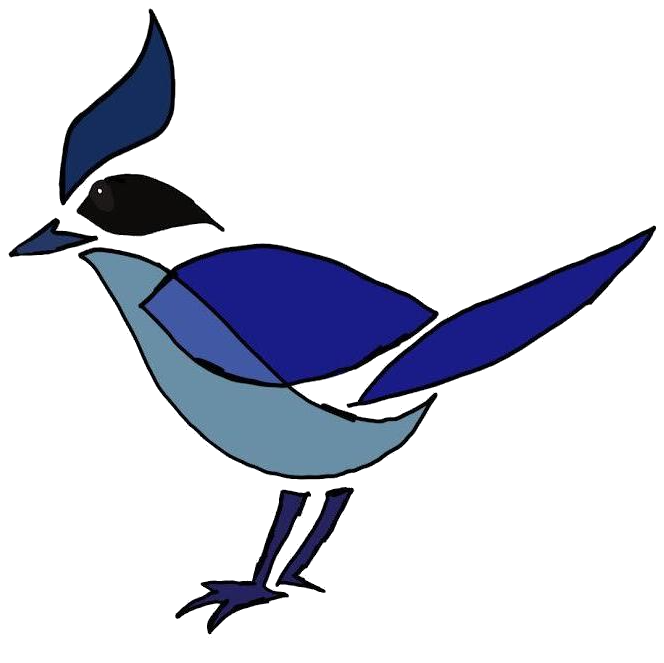 Steller's jay campaign logo — updated transparent
