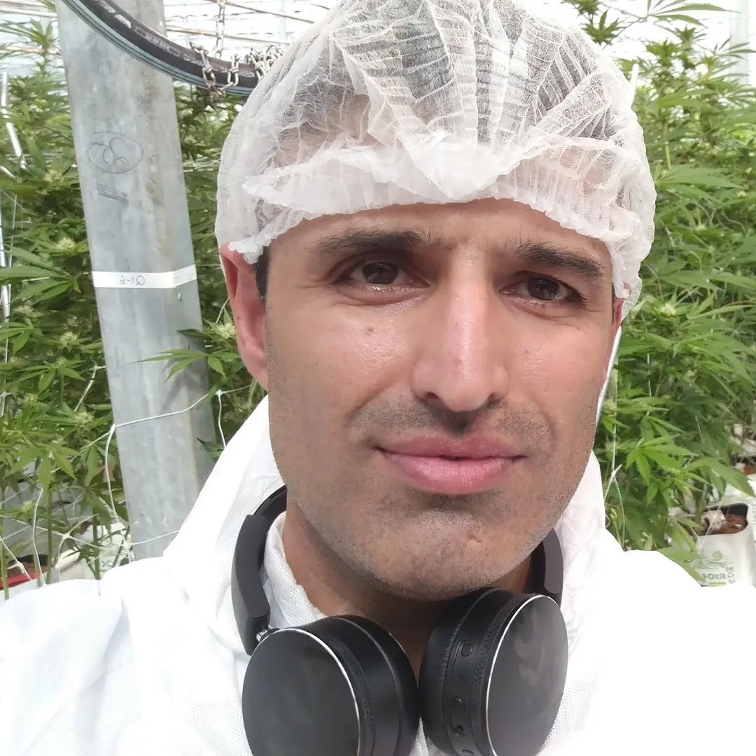 Jay Sidhu inside the world's largest legal cannabis farm
